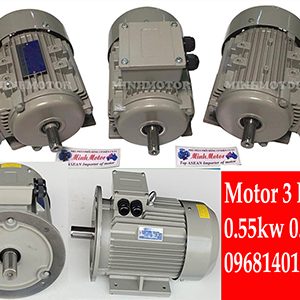 Động cơ đồng bộ 3 pha