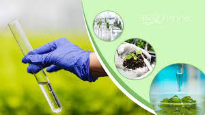 Nghề Công nghệ kỹ thuật môi trường